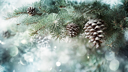 График работы на Новогодние праздники